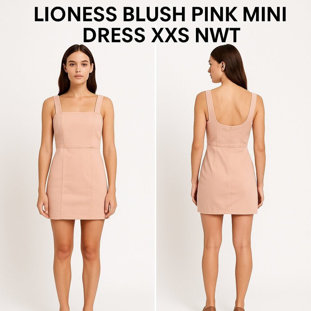 Lioness Blush Pink Mini Dress XXS NWT